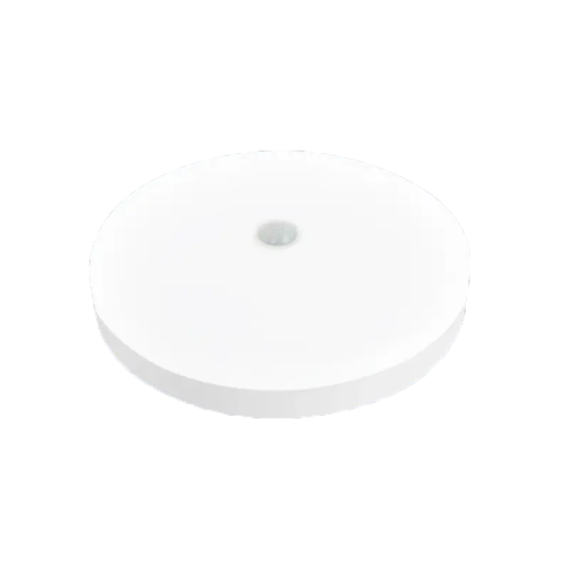 LED induction ceiling light